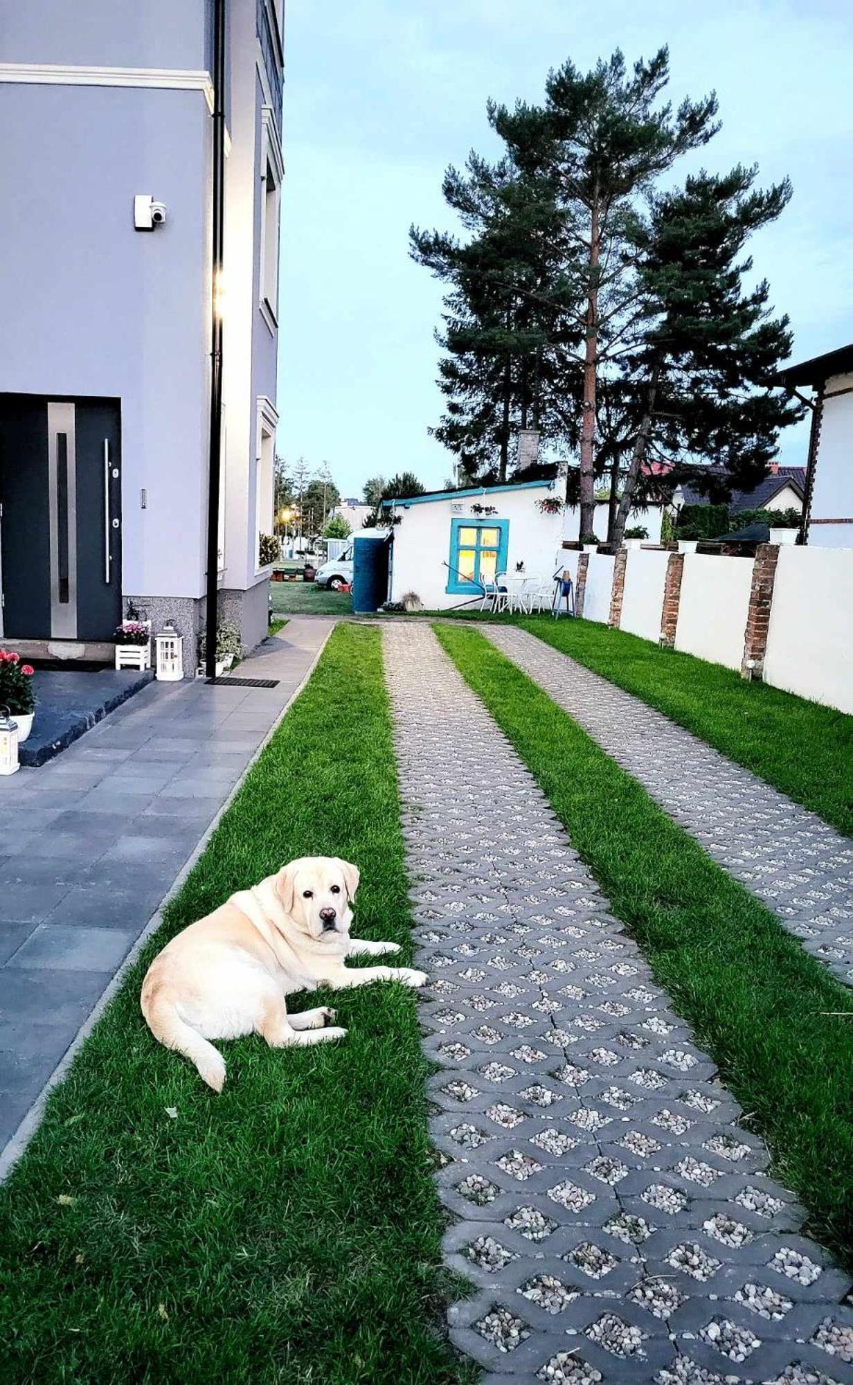 Villa Blue Mare Ustronie Morskie Exterior photo